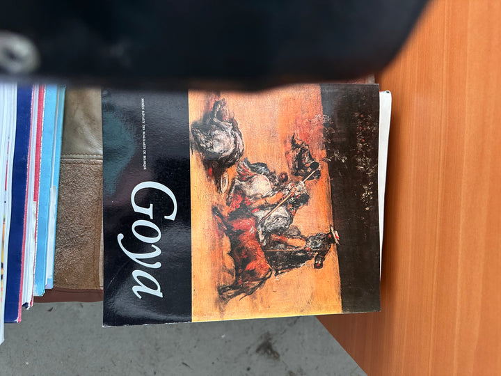 Goya book