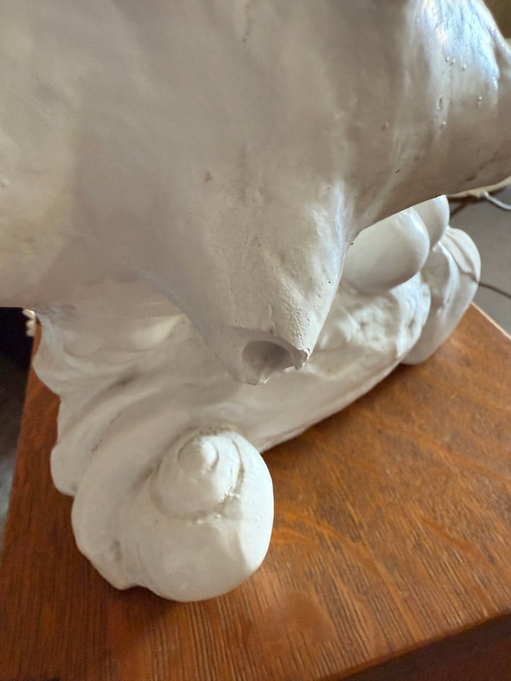 Concrete plaster seashell lamp as is