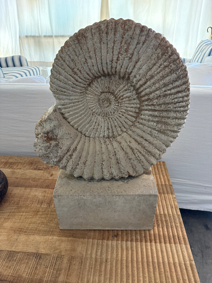 Large Fossil style concrete Shell sculpture