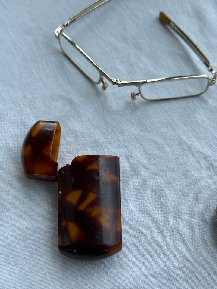 Travel glasses in tortoise case