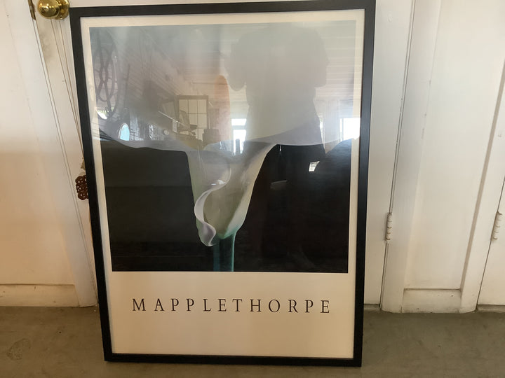 Mapplethorpe Poster