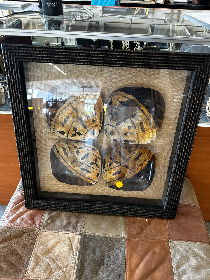 Horn bowl art framed