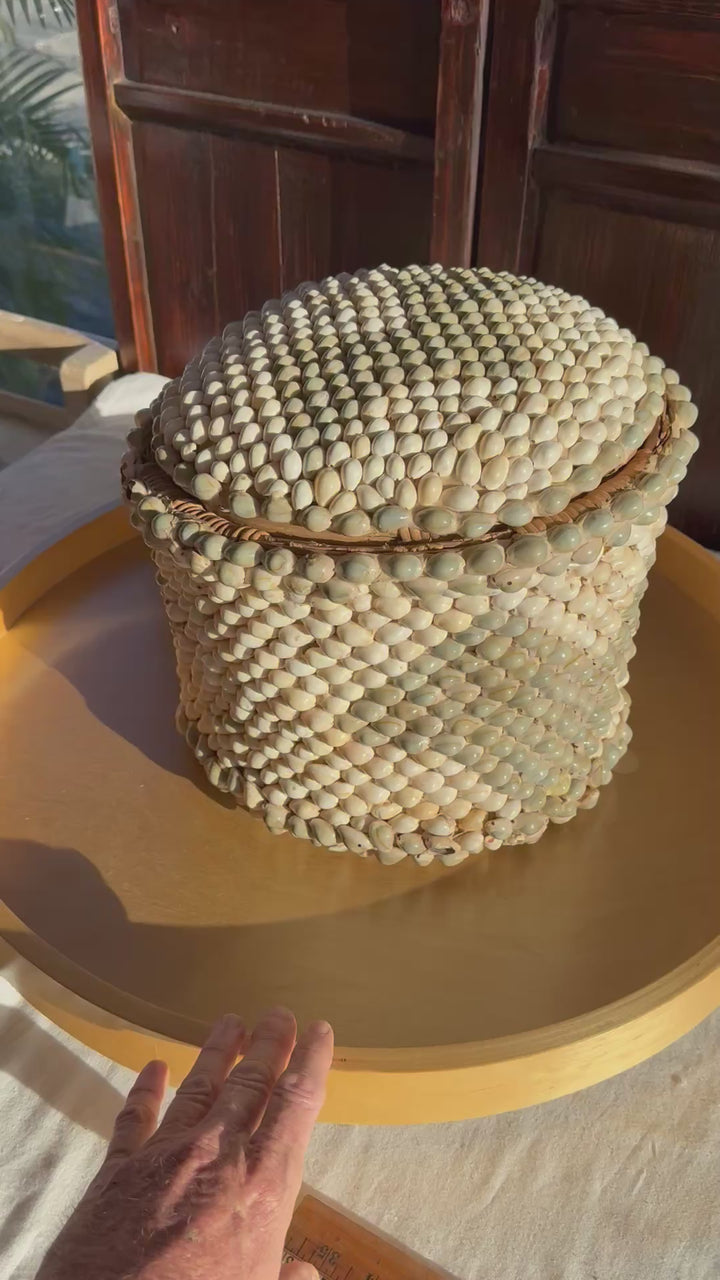 Shell crusted basket with lid