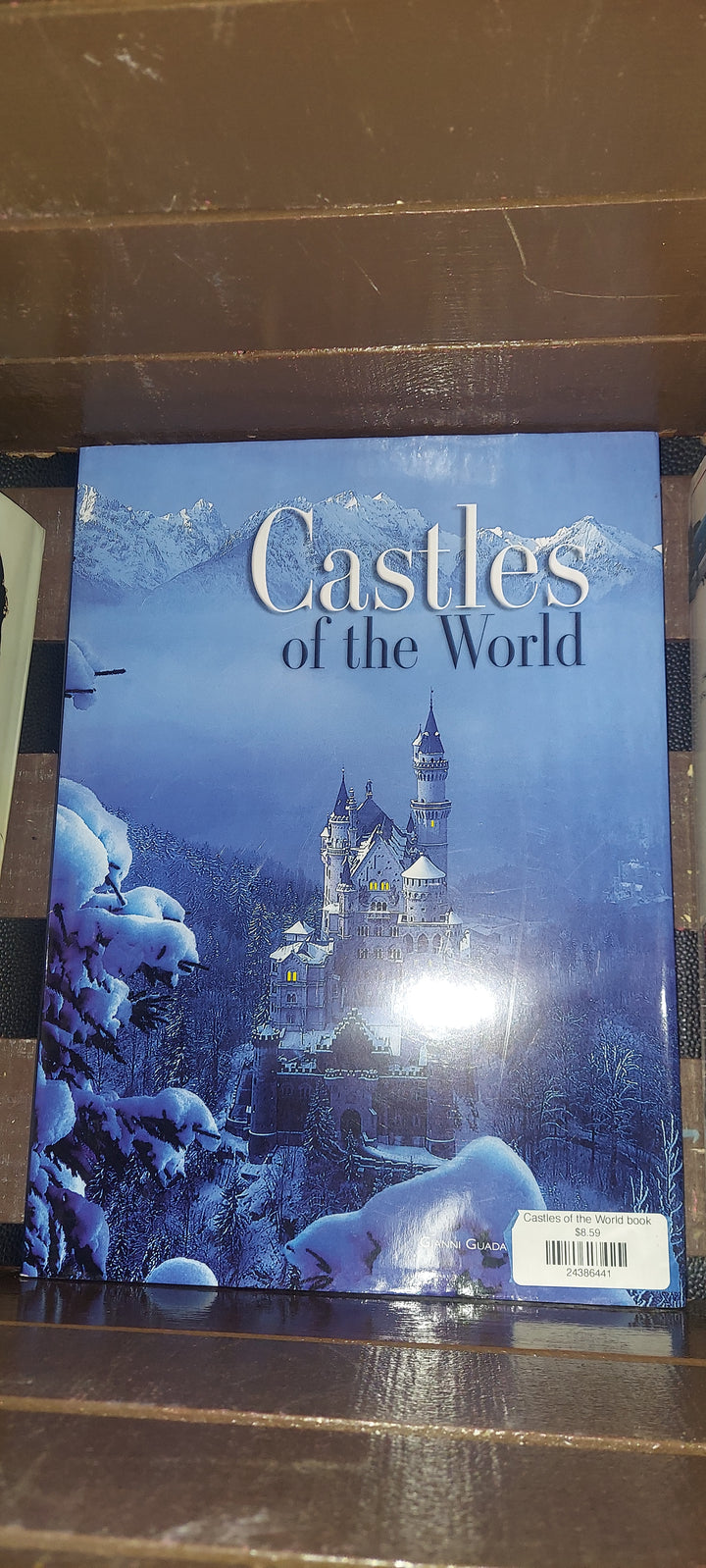 Castles of the World book