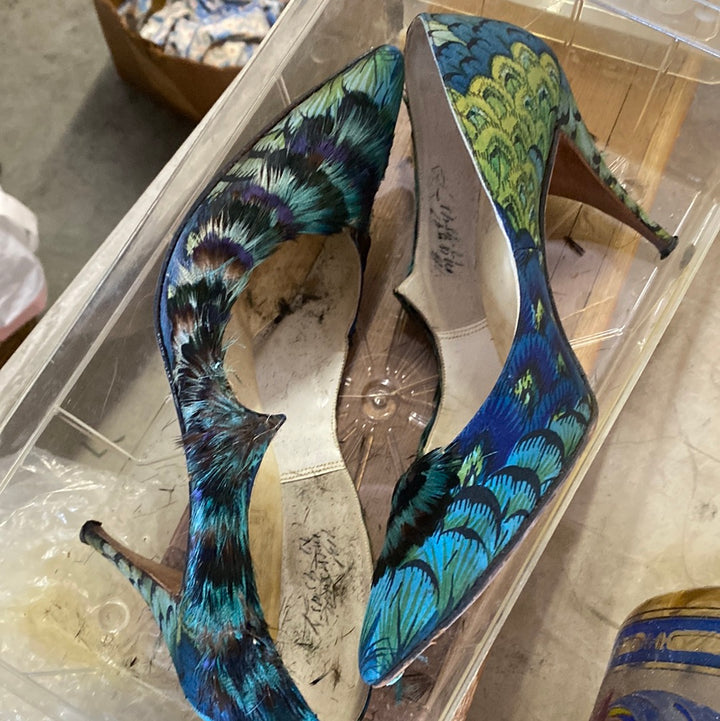 Old peacock shoes