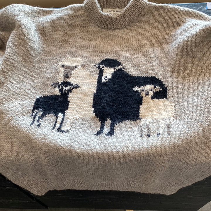 Sheep sweater
